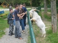zoo_6.B 043 (web) (web)