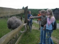 zoo_6.B 063 (web) (web)
