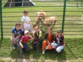 zoo_6.B 096 (web) (web)