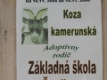 zoo_6.B 102 (web) (web)