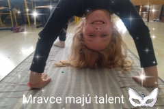 313129280_674381523996398_1681940054953292543_n