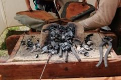 Messenger_creation_FC1979EC-D1BD-43FA-B53B-3D512B9AD149