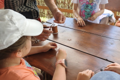 IMG_20260526_102549