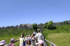 IMG_20260526_105937