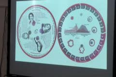 510511377_706001159075719_5224865941746404972_n