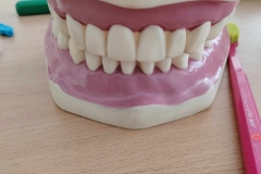 3d80f925-77b9-439f-a7dc-868d9d3e8ebc