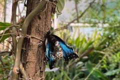 PHOTO-2023-05-22-11-43-51_2