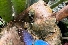 PHOTO-2023-05-22-11-43-51_3