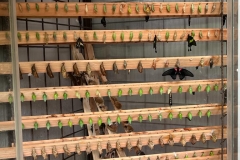 PHOTO-2023-05-22-11-43-51_4