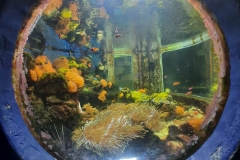 IMG-3a37ac65ad2b42a4468aca7c87c3c9d4-V