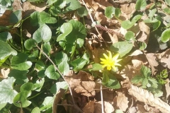 received_358377169570601