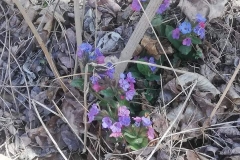 received_721190892582040