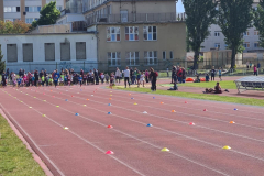 e3bcadb6-3787-41cd-b610-d75d415dbc31