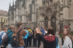 313090262_680129143532049_7957245104953657057_n