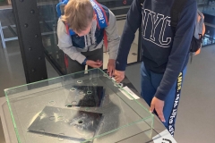 280577972_522550756015916_2739744127340494072_n