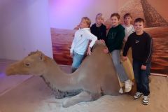 hdimg4ff53f2db403abefce3ccfbd506157