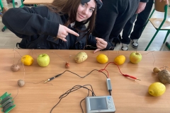 341521634_754506276209243_3407613673722497101_n