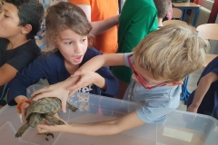 1_received_169382919565094