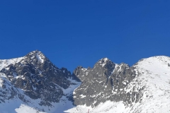 327566810_713558070195087_5681318558711081754_n