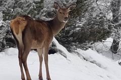 328262465_3307851389465693_6282970066376824401_n