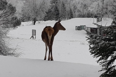 328694256_504153508532869_3527816841723376492_n