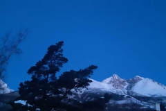 328856612_2533205016818848_3703243416193387163_n