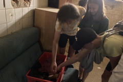 349369033_499776405620021_3963807090578893188_n