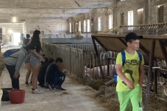 350100719_962134225124612_8826330621724681071_n