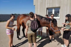 350255276_171896615852481_8763128001245828310_n