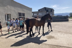 350641772_197502799448188_8519692524576500259_n