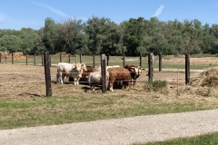 350804787_142867725459123_3797789073918223359_n