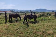 350897196_3694822494080342_1498026771615555269_n