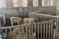 350962099_284342614020435_8748736719448935485_n