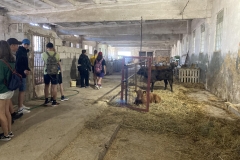 350994511_1010273510318483_3118823853383090264_n