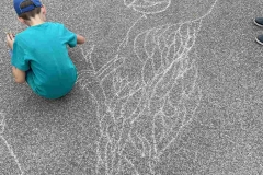 IMG-5ec72de280e94a2c8e14c14ae9bac408-V