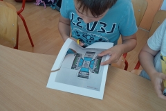 IMG_20240516_120505668_MFNR