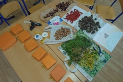 IMG_20231103_125544268_MFNR