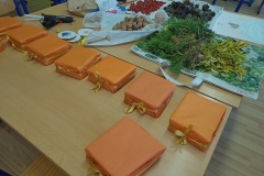 IMG_20231103_125548749_MFNR