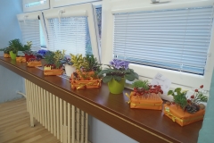 IMG_20231103_145618315_MFNR