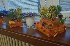 IMG_20231103_145627766_MFNR