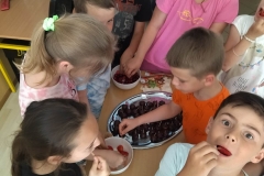 344747402_297579036030658_6192292085561038396_n