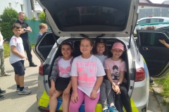 IMG-685de590782f60e659de78b2d5c0370b-V