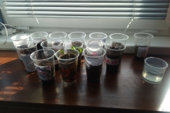 IMG-718544cabde166e402e60debd5312003-V