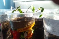 IMG-8c26b99bdb729b2880050b21158f1f49-V