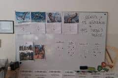 644250751_910011945341305_1985911489655289755_n