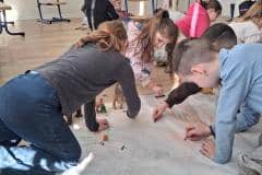 644409892_910011592008007_4310223540240323927_n