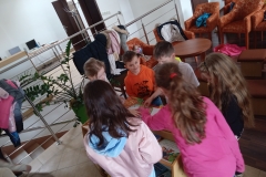 IMG_20240308_142845785_MFNR