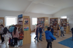 IMG_20240308_142936963_MFNR