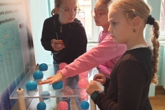 312921027_2340060159474436_3091150348871077408_n