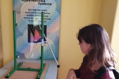 312931096_911969873301653_8474271730945729431_n